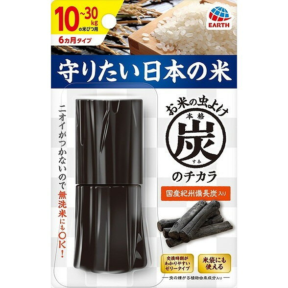 【単品6個セット】本格炭のチカラ10~30kgタイプ アース製薬(代引不可)【送料無料】