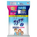 【単品6個セット】サラテクト 虫よけシート 20枚入 アース製薬(代引不可)【送料無料】