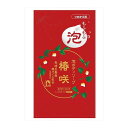 【単品2個セット】 泡ボディソープ椿咲詰替用480ML ロケット石鹸株式会社(代引不可)(4)