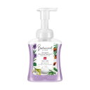 【単品20個セット】 MアワBOホンタイ250ML レキットベンキーザージャパン(代引不可)【送料無料】(4)