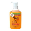 【単品20個セット】 四季折々薬用柿渋泡ボディソープ本体500ML 熊野油脂株式会社(代引不可)【送料無料】