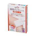 【単品13個セット】 清潔パックに入った滅菌ガーゼL8枚 玉川衛材株式会社(代引不可)(4)