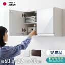 選べる吊戸棚豊富なサイズ 壁面収納 吊戸棚 幅60 奥行22 完成品 日本製 F☆☆☆☆ キッチン 洗面所 リビング 吊り戸棚 棚 可動棚 高さ調節 鏡面 木目 ホワイト ダークブラウン 完成品 洗面所収納(代引不可)【送料無料】
