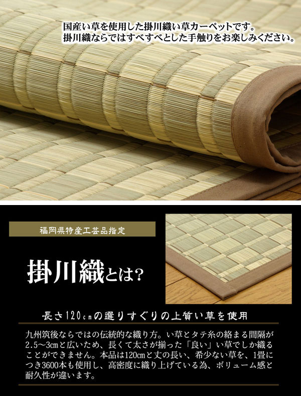 純国産 掛川織 い草カーペット 『松川』 ベージュ 本間4.5畳(約286×286cm)【送料無料】【代引き不可】 [2]