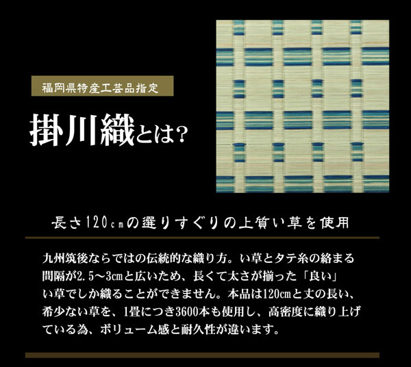 掛川織 い草カーペット 『雲仙』 ベージュ 本間2畳(約191×191cm)(代引不可)【送料無料】 [2]