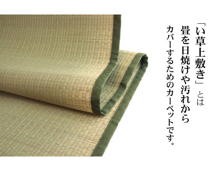 純国産 双目織 い草上敷 『草津』 本間6畳（約286×382cm）【送料無料】【代引き不可】