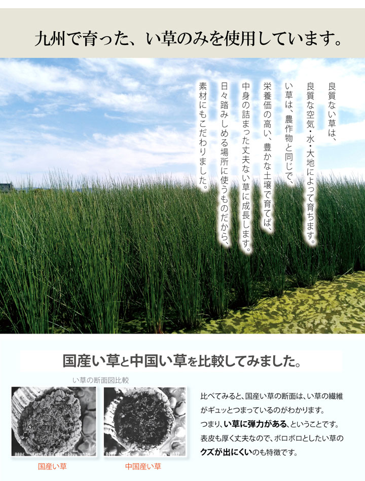 玄関マット 室内 おしゃれ 国産い草 「Fカラフルブロック」 約60×90cm(代引不可)【送料無料】 [3]