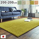 日本 約2.6畳 約200×200cm 抗菌 消臭 清潔 ラグ カーペット 防炎 アレルキャッチャー 抗アレル物質 ダニ対策 シャギー 無地 ールシーズン おしゃれ インテリア 北欧(代引不可)【送料無料】(3)