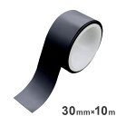 レイシス 害虫忌避 30mm×10m巻 黒 簡単 虫取り 害虫取り 無視対策 効果範囲 約1m 防虫対策(代引不可)【送料無料】