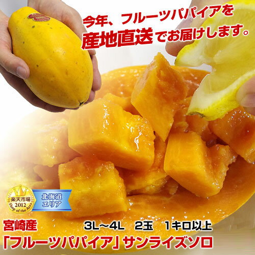 特Aランク品 産地直送 宮崎産 パパイヤ フルーツパパイア 「サンライズソロ」3L〜4L 2玉 約1kg以上