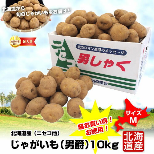 特Aランク品 北海道産 男爵 超お買い得！お徳用Mサイズ 10キロ