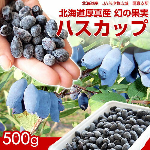 ハスカップ 特Aランク品 産地直送 北海道 厚真産 幻の果実 ハスカップ 約500g ※冷凍 特級品