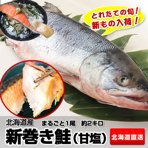 鮭 特Aランク品 産地直送 北海道産 新巻き鮭（甘塩） まるごと1尾 約2kg 特級品 2キロ 鮭 ※冷凍