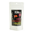 B-blast 究極の餌 金魚用 60g 日本製 国産 観賞魚 アクアリウム 金魚用フード【ポイント10倍】