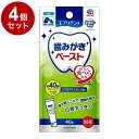 【4個セット】 アースペット エブリデント 歯みがきペースト 40g【ポイント10倍】【送料無料】|詳細画像