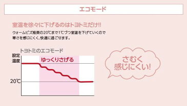 トヨトミ FF式ストーブ FF-36G ホワイトW【ポイント10倍】【送料無料】【inte_D1806】