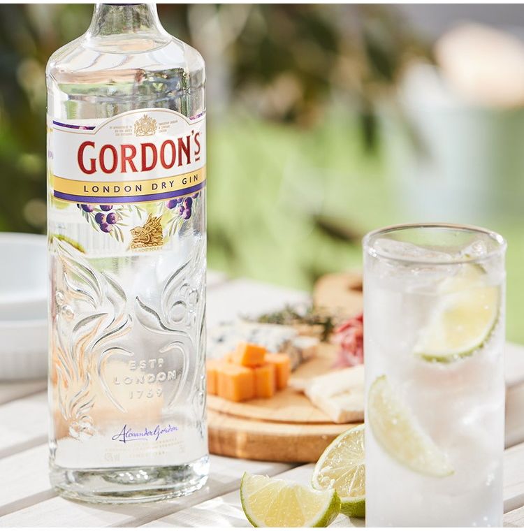 本格ジントニックセット 「ゴードン」ドライジン&トニックウォーター2本 ラッピング済みギフト(代引不可)【送料無料】
