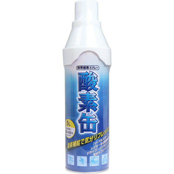 ���ӻ��ǥ��ץ졼�����Ǵ̡�5L