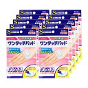 デルガード ワンタッチパッド Sサイズ 10枚入×10個セット【ポイント10倍】【送料無料】