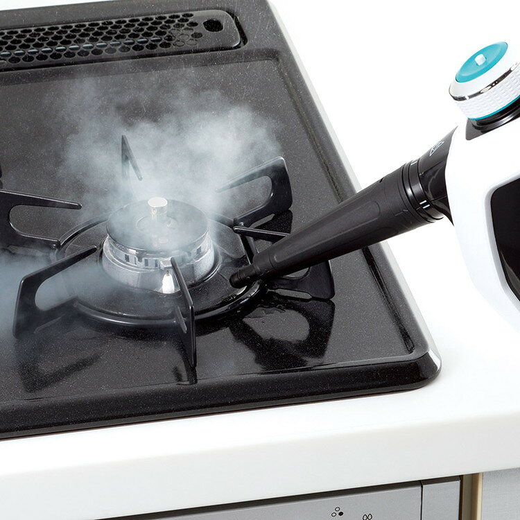 ハンディスチームクリーナー アースマン 家電小物 1406761(代引不可)【ポイント10倍】【送料無料】