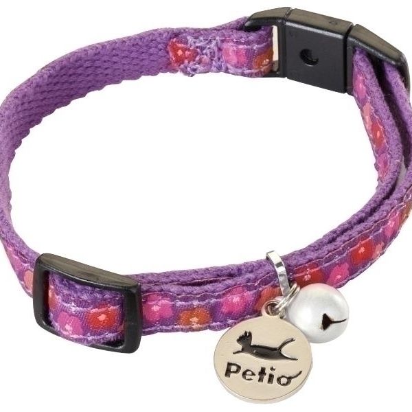 ��ޥҥ� �ڥƥ��� ǭ��Į���顼 ���� ��