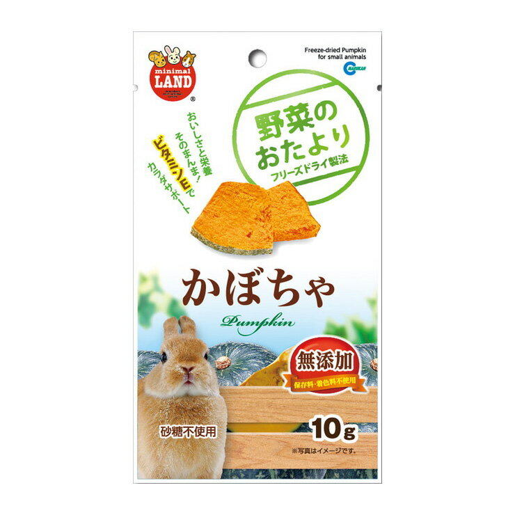 飼料 - マルカン 野菜のおたより かぼちゃ 10g 小動物用 餌 ペットフード おやつ うさぎ モルモット ハムスター リス チンチラ