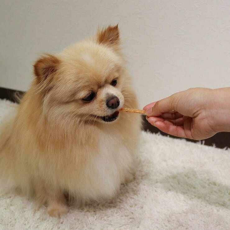 �ɥ����ޥ� �ۥ磻�ǥ�� ������de�ǥ󥿥� ������� 70g