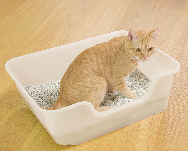 ライオン商事 獣医師開発 ニオイをとる砂専用 猫トイレ 1個
