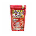 イトスイ COMET 金魚の主食納豆菌色揚げ中粒 430g【ポイント10倍】