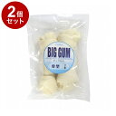 【2個セット】 ペットプロ BIGガム 骨型 2本 犬用 犬 おやつ スナック ガム 大型 大きい【ポイント10倍】【送料無料】