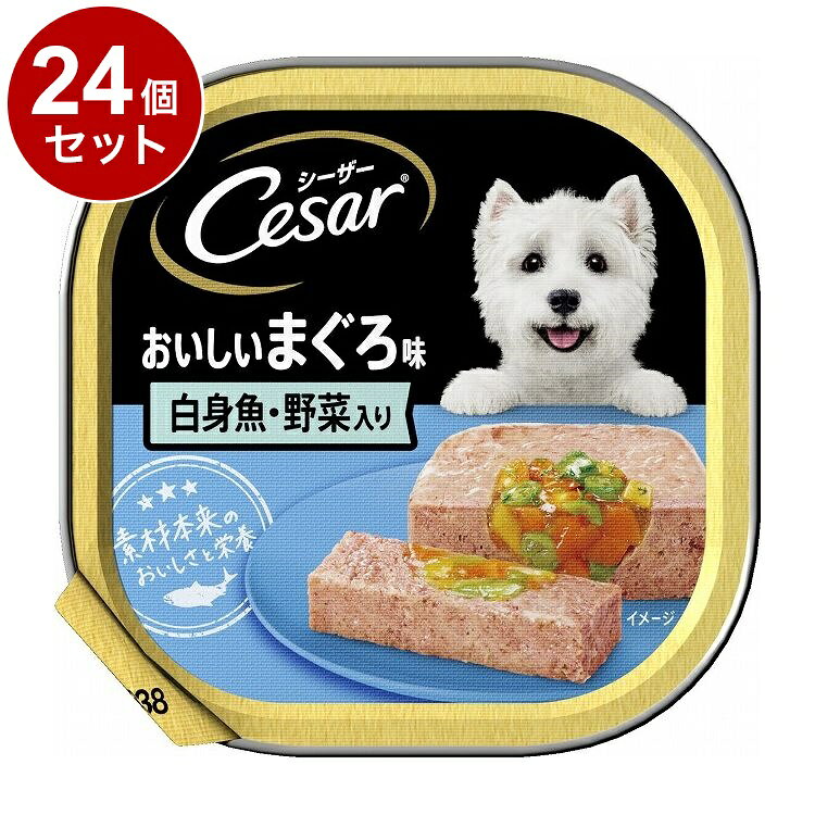 【24個セット】 シーザー おいしいまぐろ 白身魚・野菜入り 100g【ポイント10倍】【送料無料】