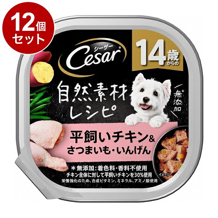 Other - 【12個セット】 シーザー 自然素材レシピ 14歳からの 平飼いチキン&さつまいも・いんげん 85g【ポイント10倍】【送料無料】