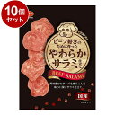 【10個セット】 日本ペットフード ビタワン君のビーフ好きのために作ったやわらかサラミ仕立て 70g【ポイント10倍】【送料無料】