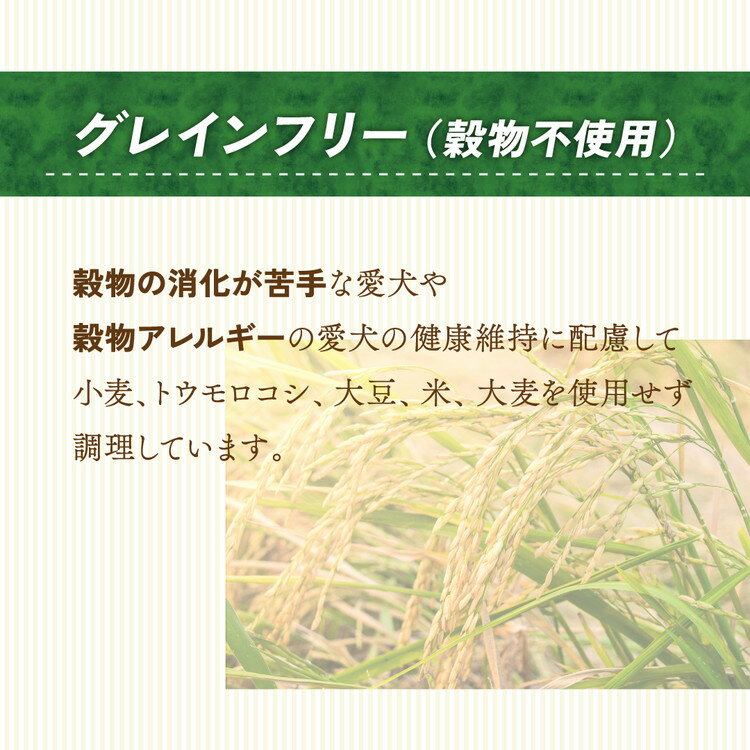 【36個セット】 マルカン サンライズ ナチュラハ グレインフリー やわらかチキン&野菜入 15歳以上用 100g【ポイント10倍】【送料無料】