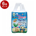 【6個セット】 マルカン ヤドカリココナッツウォーター 250ml【ポイント10倍】