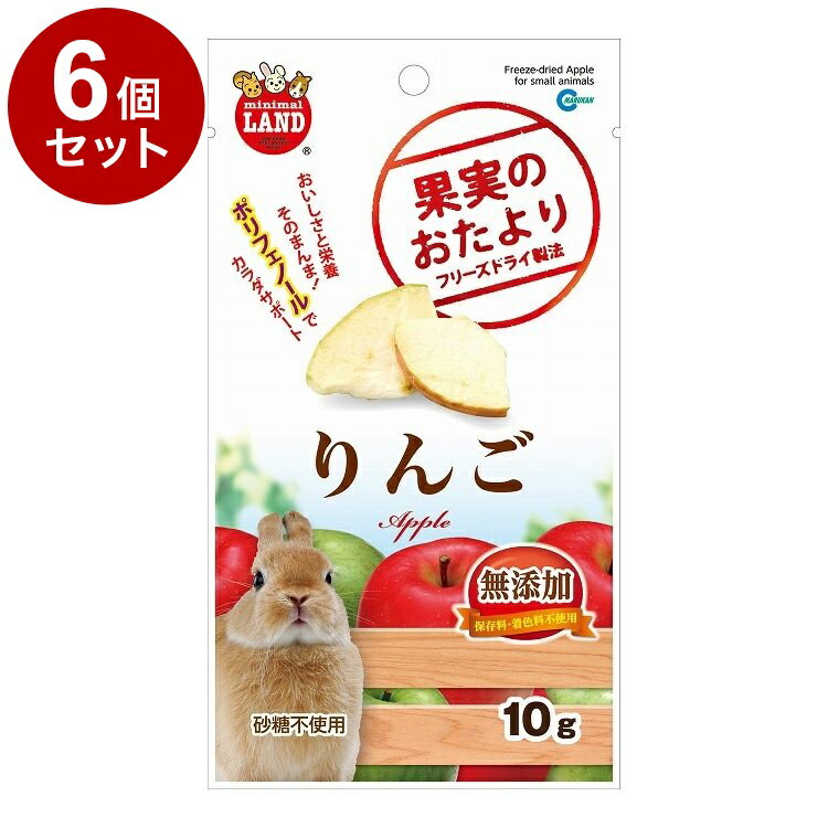 【6個セット】 マルカン 果実のおたより りんご 10g【ポイント10倍】