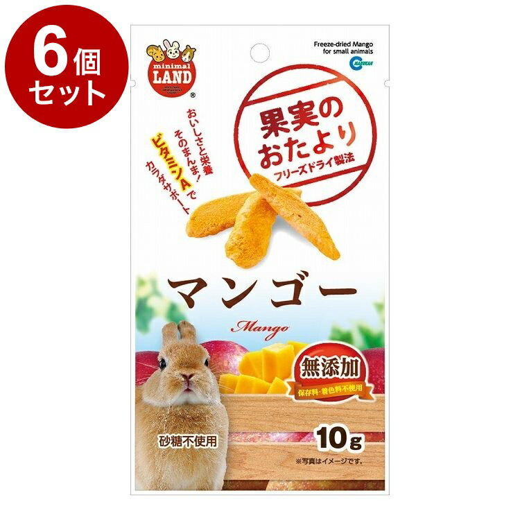 【6個セット】 マルカン 果実のおたより マンゴー 10g【ポイント10倍】