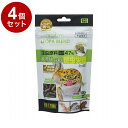 【4個セット】 GEX ジェックス RepDeli レオパブレンドフード 120g【ポイント10倍】【送料無料】