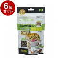 【6個セット】 GEX ジェックス RepDeli レオパブレンドフード 120g【ポイント10倍】【送料無料】