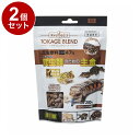 【2個セット】 GEX ジェックス RepDeli トカゲブレンドフード 200g【ポイント10倍】【送料無料】