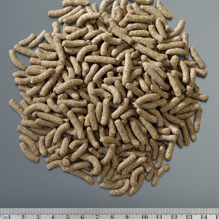 【6個セット】 GEX ジェックス RepDeli フトアゴブレンドフード スティック 250g【...