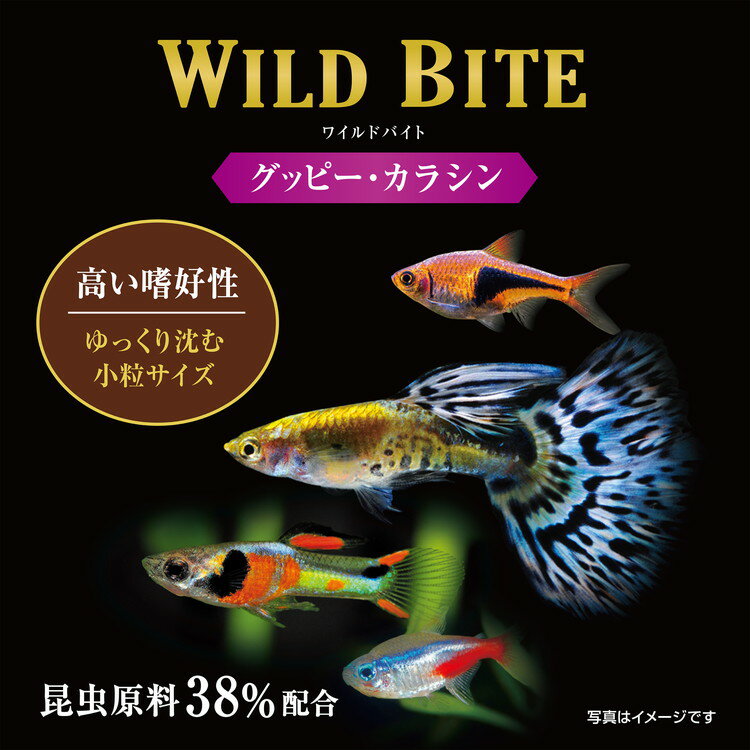 ��8�ĥ��åȡ� GEX �����å��� �磻��ɥХ��� ���åԡ������饷�� 45g�ڥݥ����10�ܡۡ�����̵����