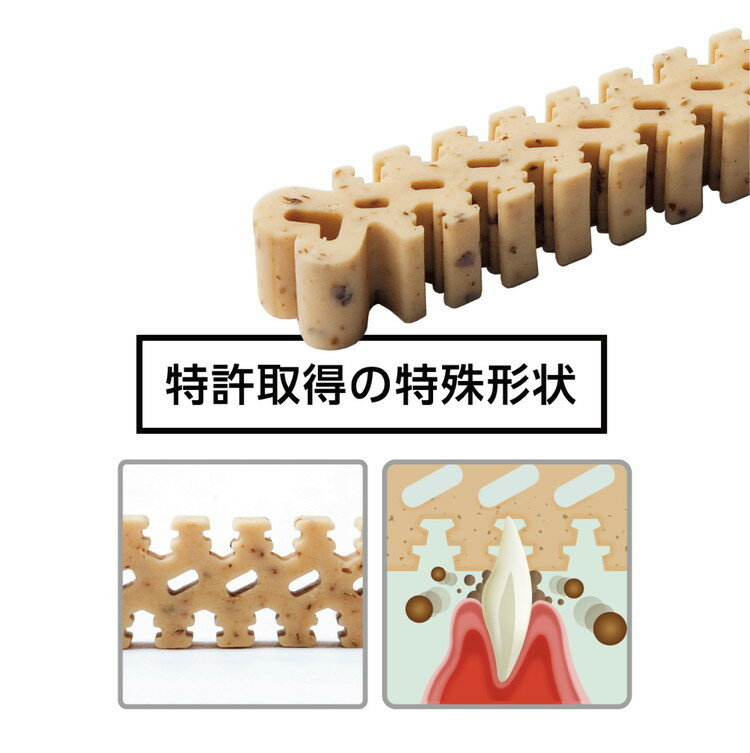 フォーキャンス デンティ・スリーフェアリー S (9個入)【ポイント10倍】