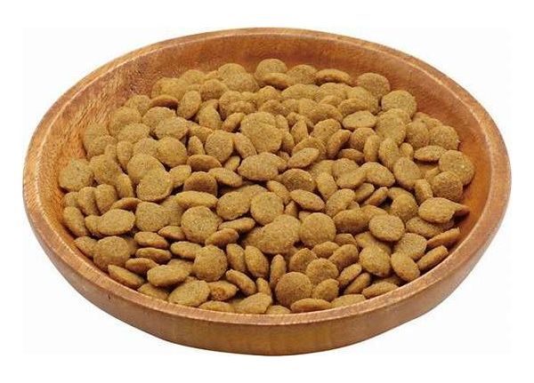 【2個セット】 ペティオ プラクト キャット ドライフード 幼猫~成猫用 カツオ味 1.2kg【ポイント10倍】【送料無料】 2