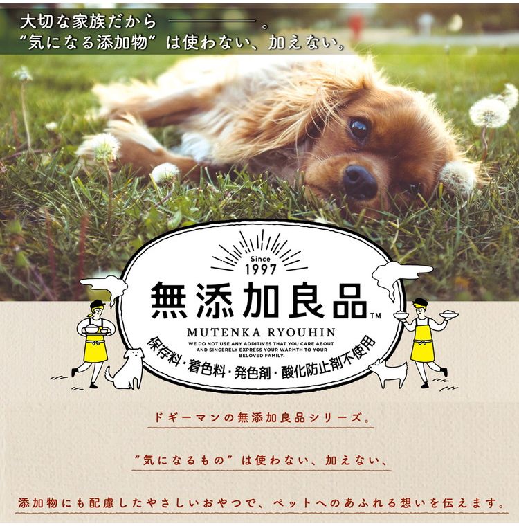 ドギーマン 無添加良品 牛皮とささみのカミカミデンタル 50g【ポイント10倍】
