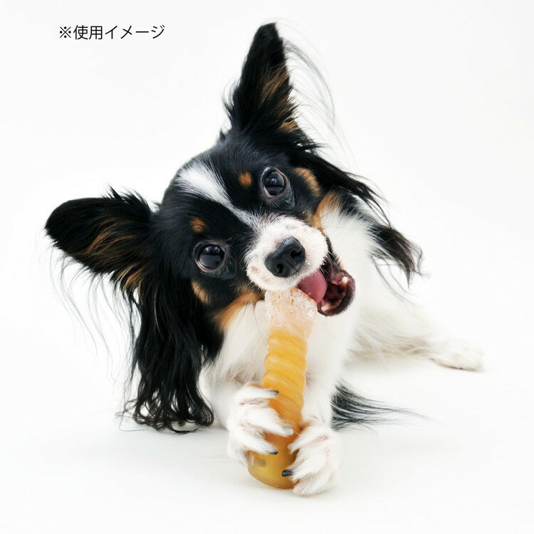 ���ɥᥤ�� �ʥ�����ǥ󥿥륳���� SS Ķ�������ѡڥݥ����10�ܡ�