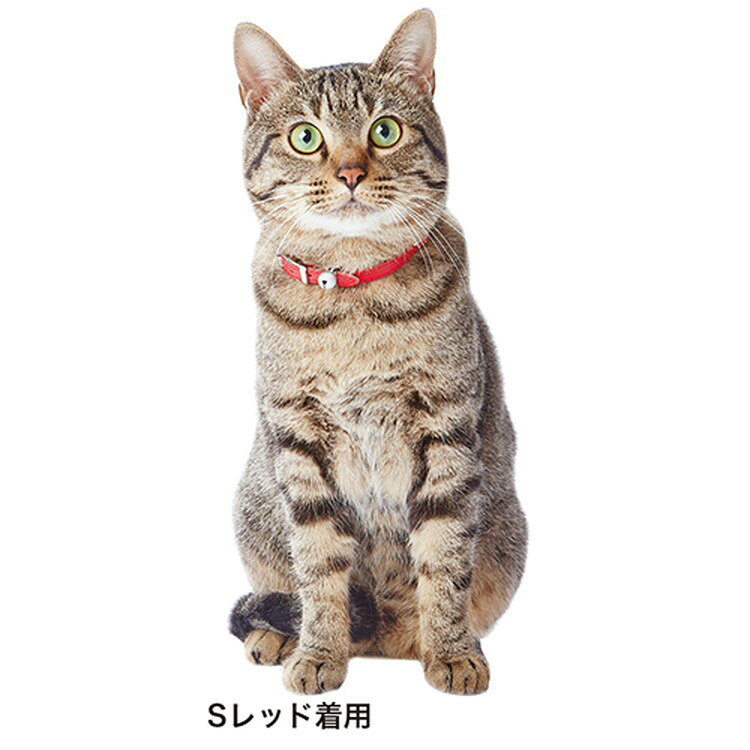アドメイト レザースタイルキャットカラー SS ネイビー【ポイント10倍】