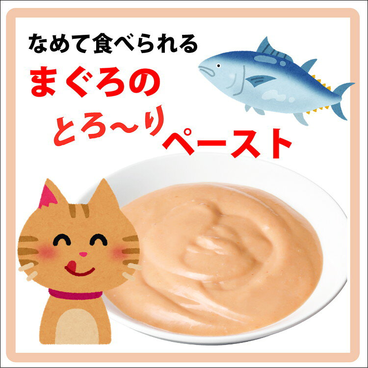 【12個セット】 アイシア 健康缶パウチ シニア猫用 皮膚・被毛ケア 40g【ポイント10倍】 rcmd-37003670 リコメン堂 サンプル画像2