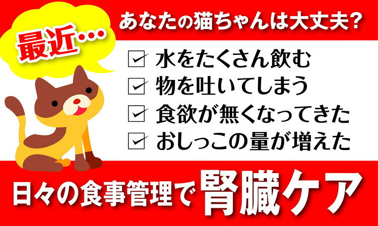 【12個セット】 アイシア 健康缶パウチ シニア猫用 皮膚・被毛ケア 40g【ポイント10倍】 rcmd-37003670 リコメン堂 サンプル画像3