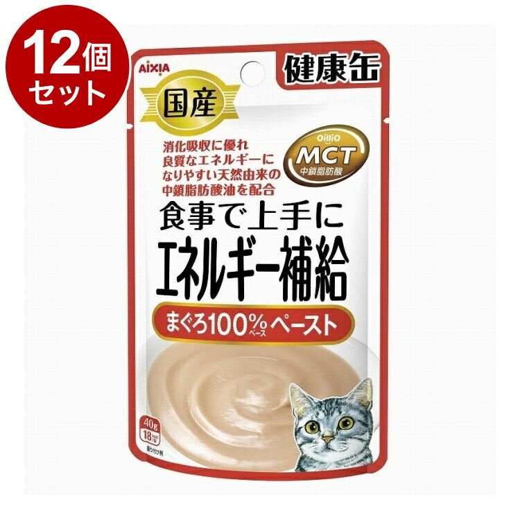 Mature Cat - 【12個セット】 アイシア 国産 健康缶パウチ エネルギー補給まぐろペースト 40g【ポイント10倍】